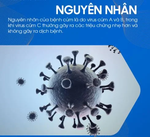 nguyen-nhan-benh-cum-a